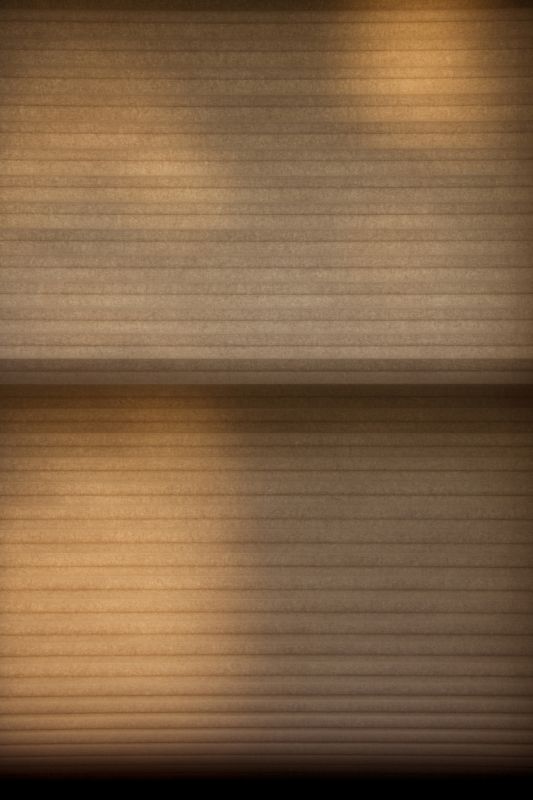 Cellular Shades Cleaning in Billings, MT