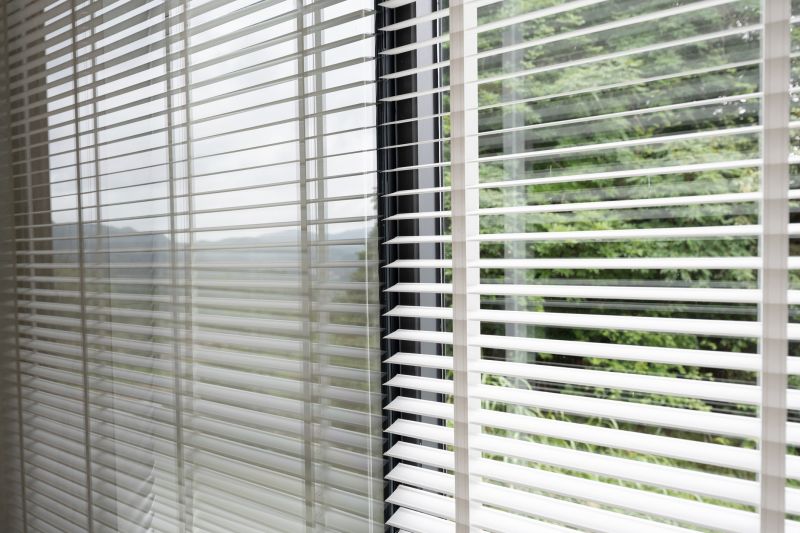 Roman Shade Cleaning in Boston, MA